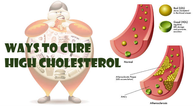 Lower Cholesterol