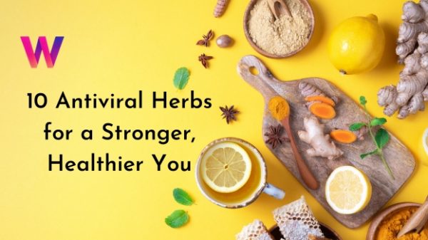 10 Antiviral Herbs for a Stronger, Healthier You