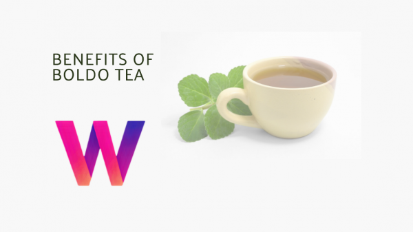 Benefits of Boldo Tea