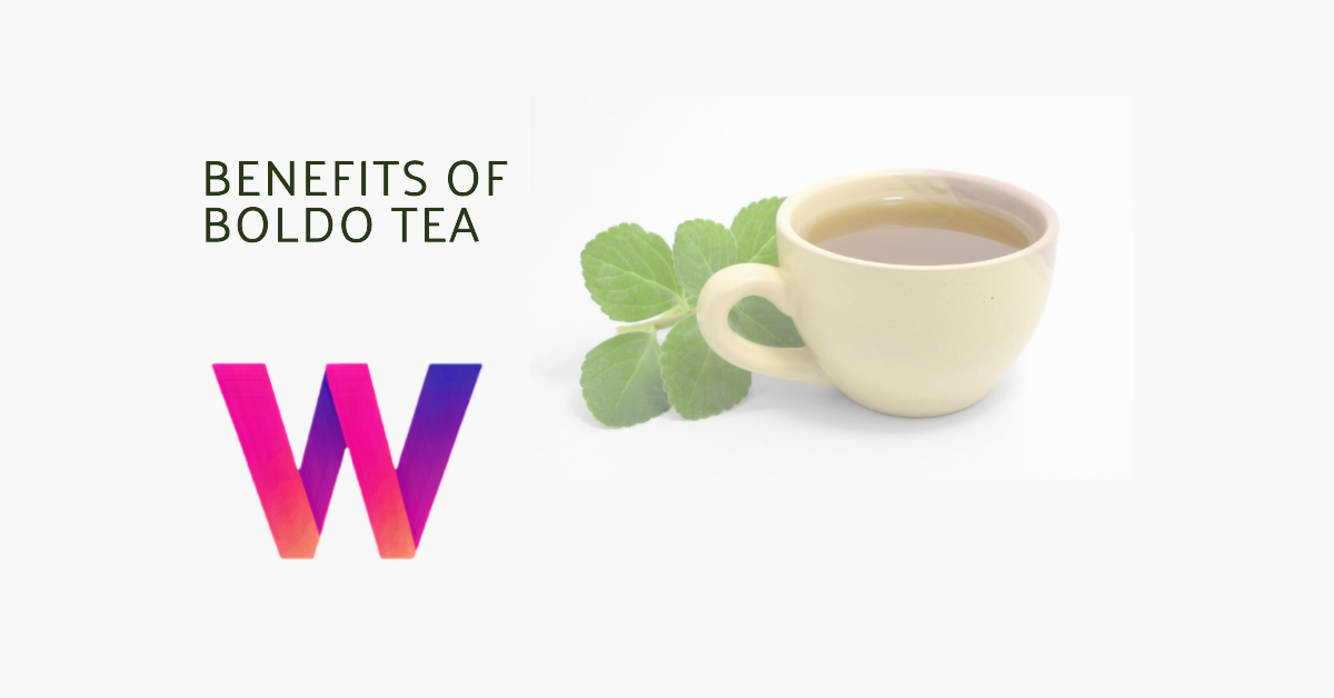Benefits of Boldo Tea