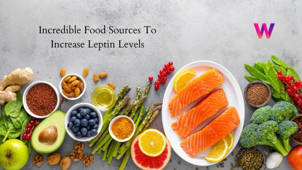 Incredible Food Sources To Increase Leptin Levels