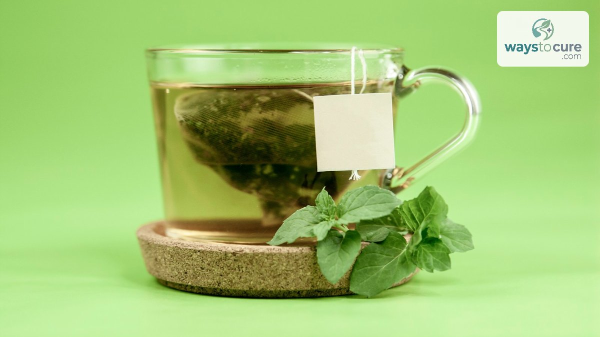 Clear glass mug of herbal tea with fresh green leaves