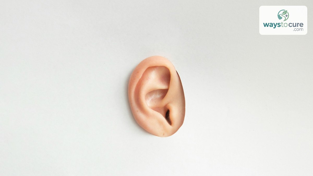 A single human ear on a plain white background