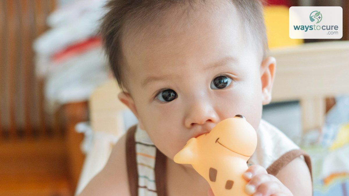 A baby chewing on a rubber giraffe teething toy